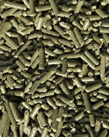 Pellet Granulado de Alfalfa Deshidratada