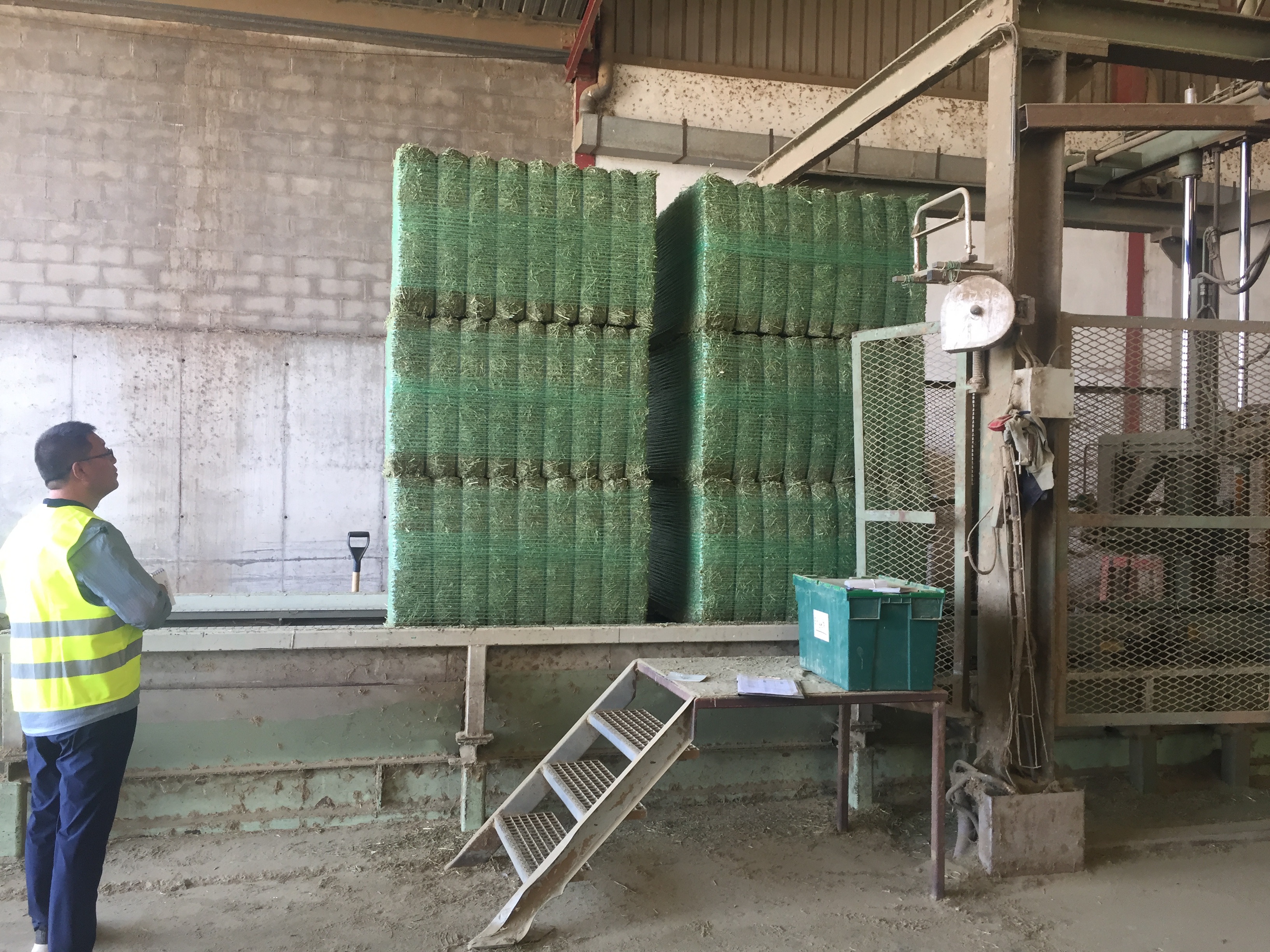 Exportación Alfalfa
